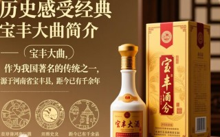 宝丰大曲一瓶价格是多少？