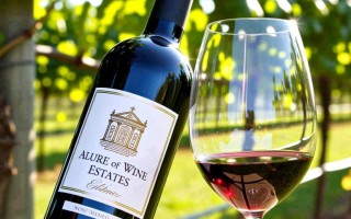 Is Red Wine Vineyard an English Equivalent for a Wine Estate?